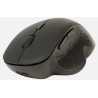 SOURIS SANS FIL RECHARGEABLE